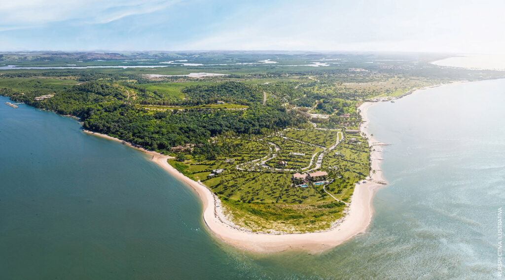 Passeios de embarcação pelas praias próximas a Carneiros - Ave o Mar, Guadalupe, Santo Aleixo, Bancos de Areia Carneiros